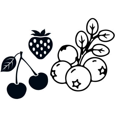 fresh berries